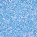 Charm Box Quad Pressed Pigments Colour Palette.